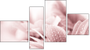 Fortych