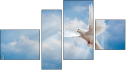 Fortych