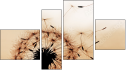 Fortych