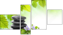 Fortych