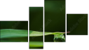 Fortych