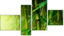 Fortych