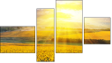 Fortych