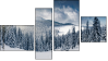 Fortych