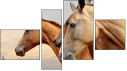 Fortych