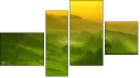 Fortych