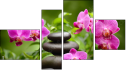 Fortych