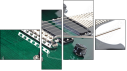 Fortych