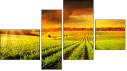 Fortych