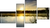 Fortych