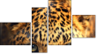 Fortych