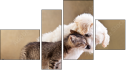 Fortych