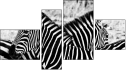 Fortych