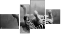 Fortych