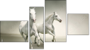Fortych