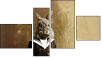 Fortych