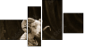 Fortych