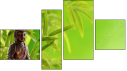 Fortych
