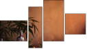 Fortych