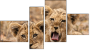 Fortych