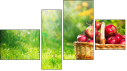 Fortych
