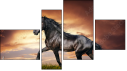 Fortych