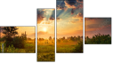 Fortych