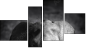 Fortych