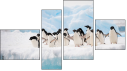 Fortych