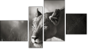 Fortych