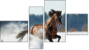 Fortych