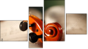 Fortych