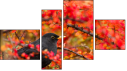 Fortych