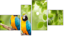 Fortych