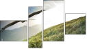 Fortych