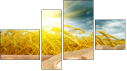 Fortych