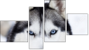 Fortych