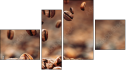 Fortych