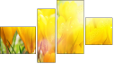 Fortych