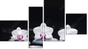 Fortych