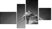 Fortych