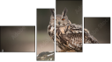 Fortych