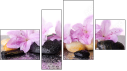 Fortych