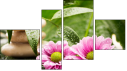 Fortych