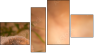 Fortych