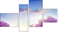 Fortych