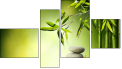 Fortych