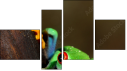 Fortych