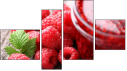 Fortych