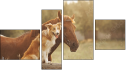 Fortych